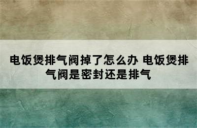 电饭煲排气阀掉了怎么办 电饭煲排气阀是密封还是排气